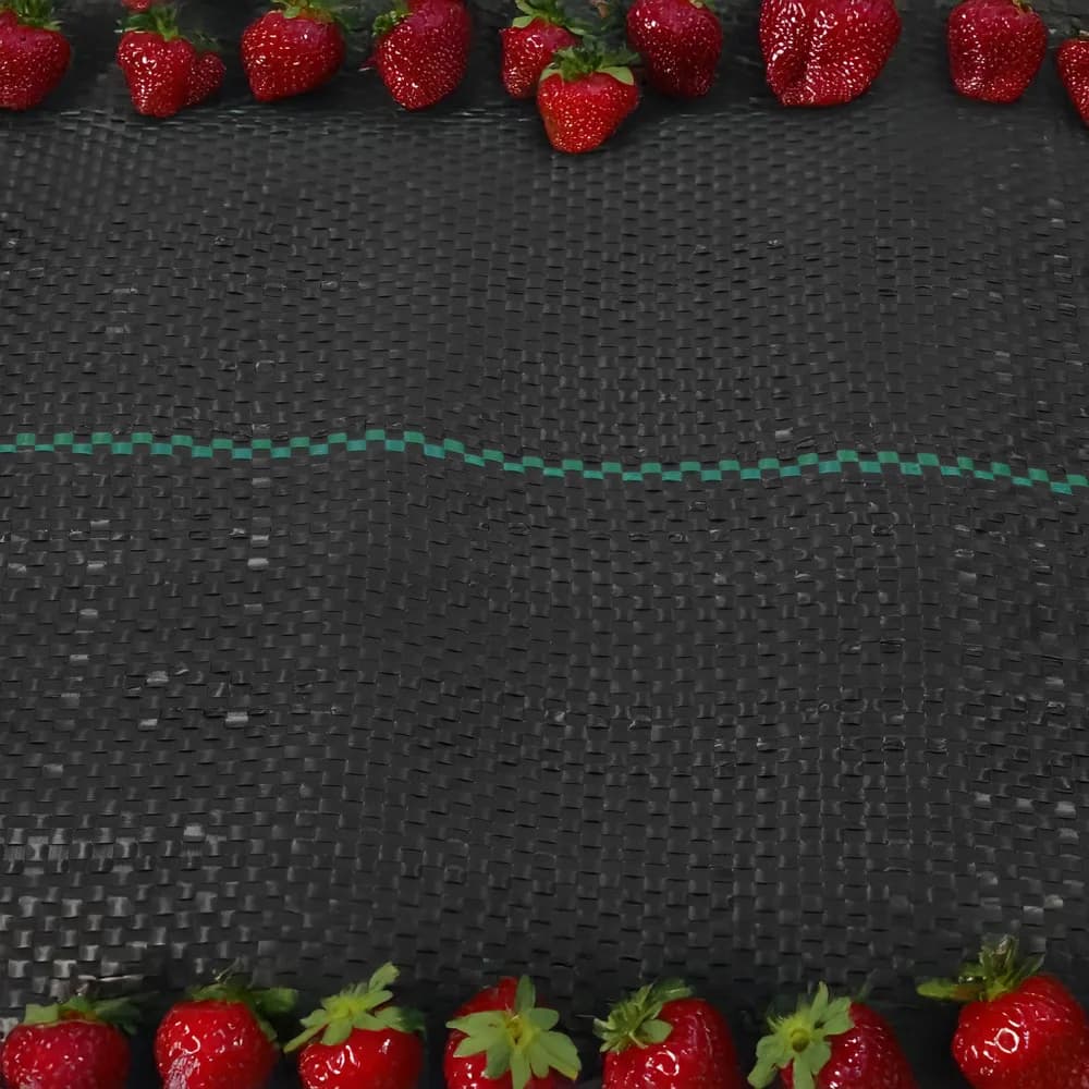 Flo Mansikkakangas/katekangas 90g / m2 1.6 x 10 m 3