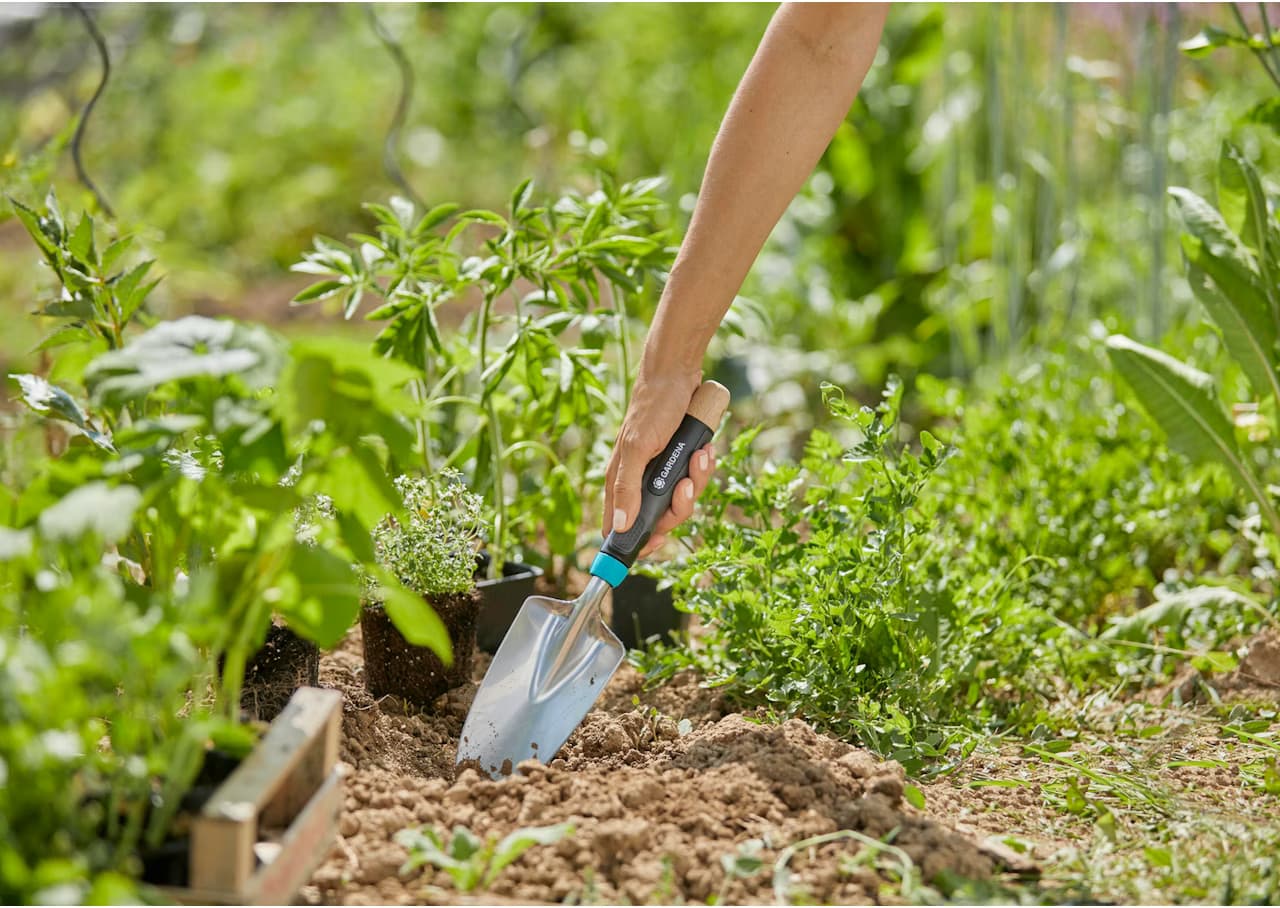 Istutuslapio EcoLine