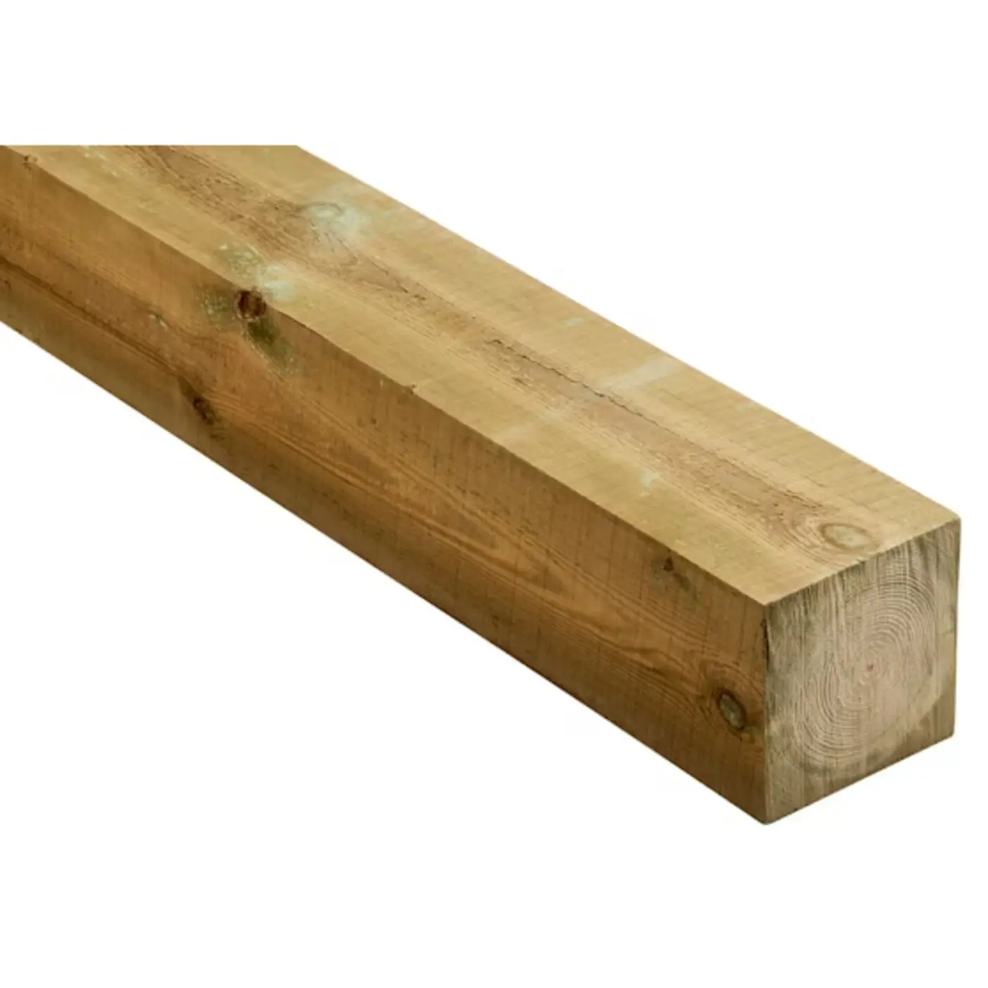 100x100 kestopuu 1