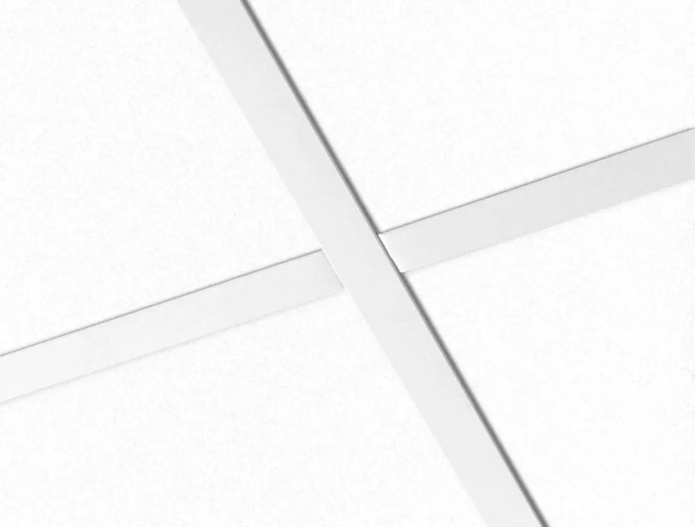 1200X600X20 WHITE FROST 10,08M2/PKT 1