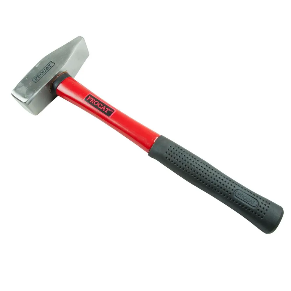 Procat Pajavasara lasikuituvarrella 1